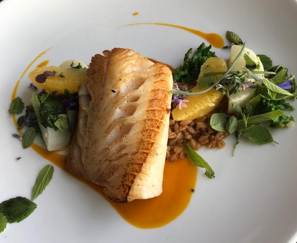 Seared Halibut with grains and greens