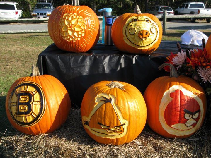 carved halloween angry birds pumpkins