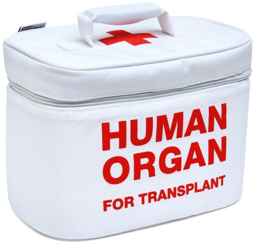 Organ Transport Lunch Cooler