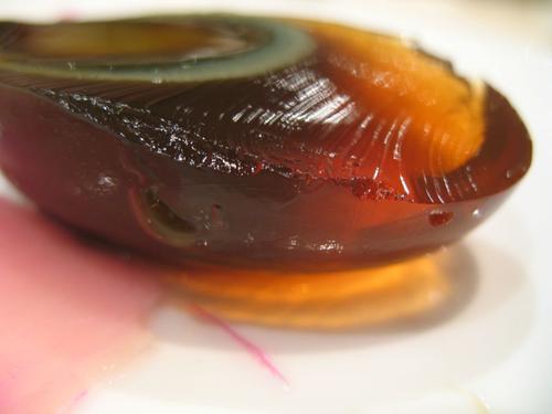 century egg