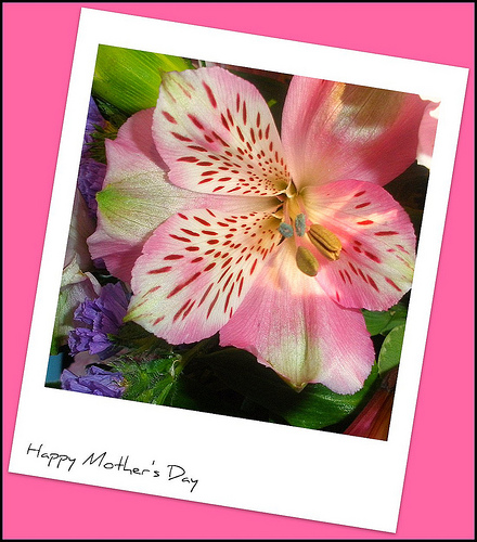 mother's day