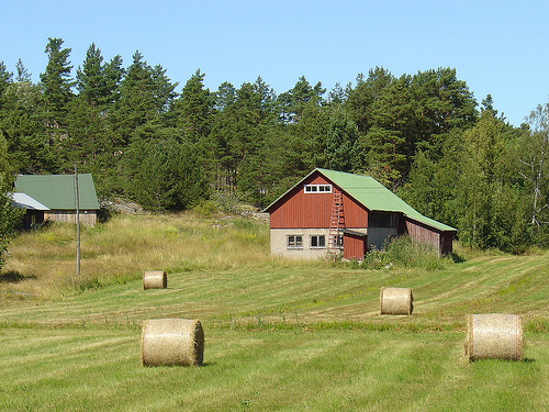 Abandoned farm