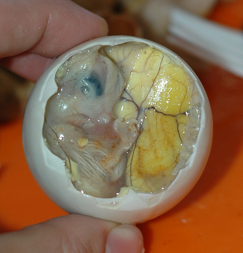 balut