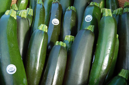 Zucchini