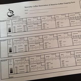 coffee cupping