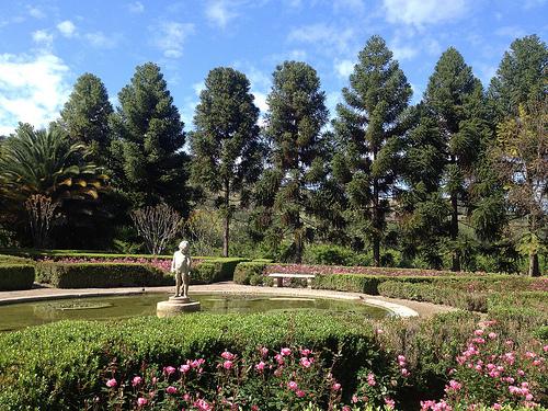 exciting malbec chile