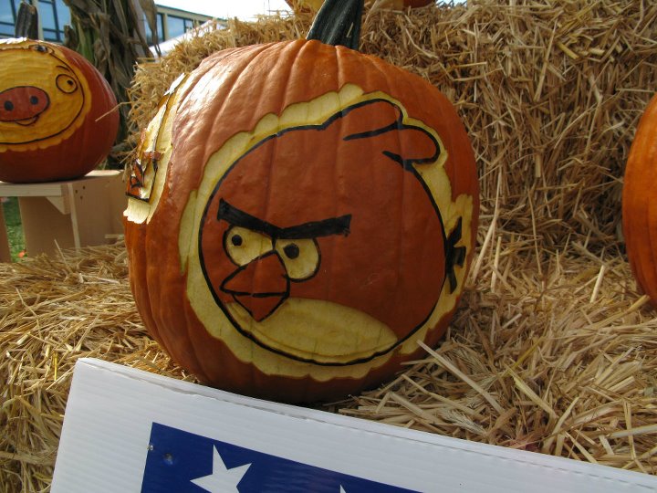 carved angry birds jack-o'-lanterns