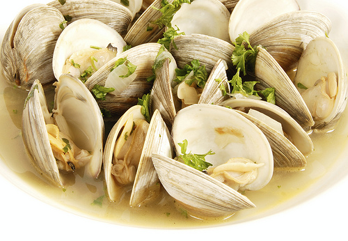 Steamed Clams