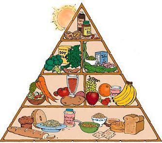 Vegan food pyramid