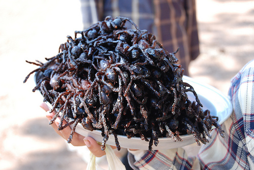 fried spiders