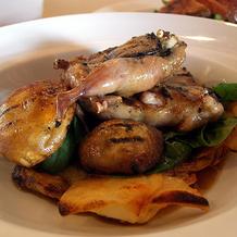 Quail