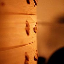 Bamboo Steamer