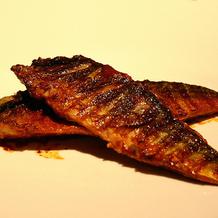 Mackerel