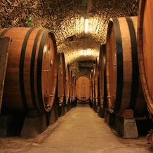 Wine Cellar