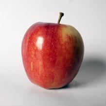 Gala Apple