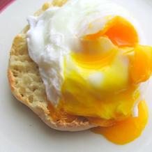 Poached Egg