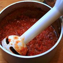 Immersion Blender