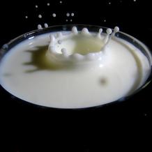 2% Milk