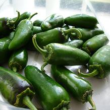 Jalapeño Pepper