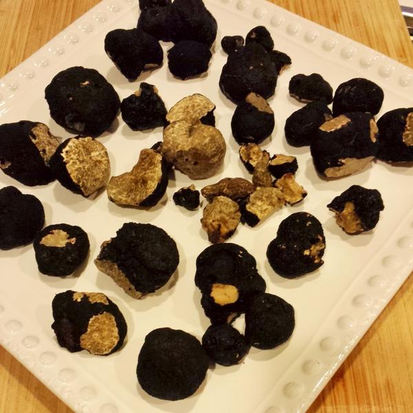 Foodista | $1,000 Truffle Hunt with Augie and Animal